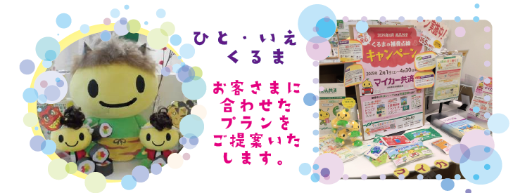 装飾帯広_アートボード 1.png