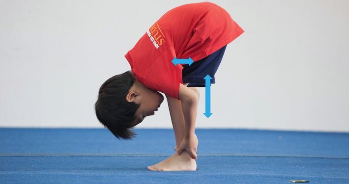 N-41_7_Stretch_1_2_710_375 - 1.jpeg