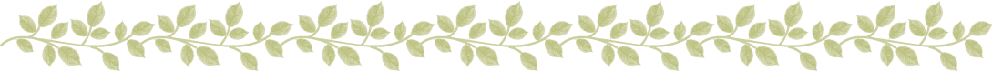 蔓状の葉っぱのライン.png