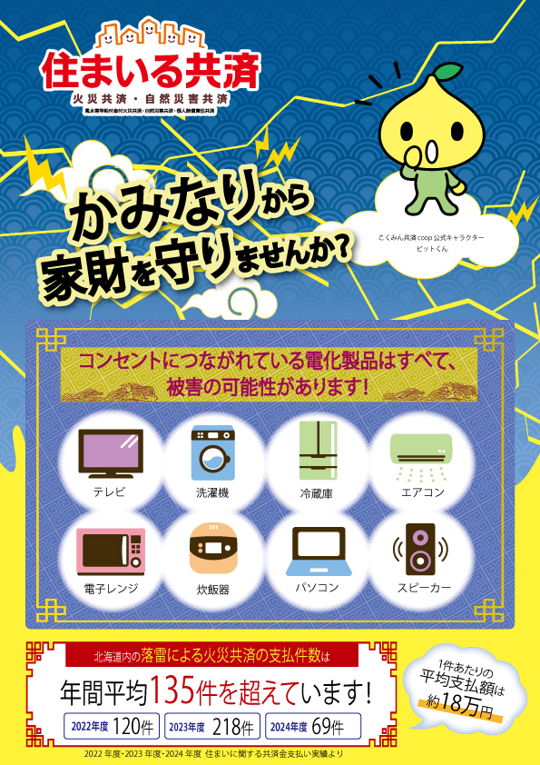 HP用表火災共済推進チラシ(落雷版).jpg