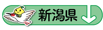 raiten_area_15_niigata.jpg