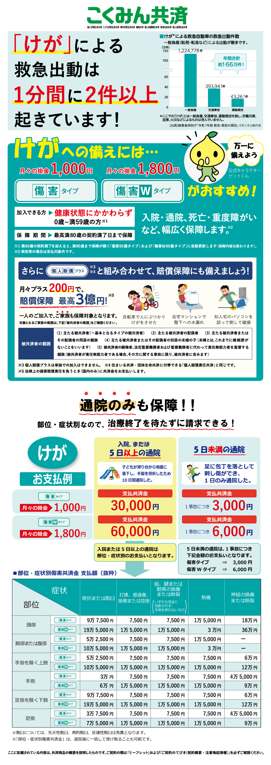 傷害タイプチラシ.jpg