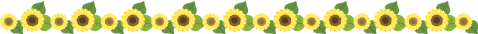 29856.png